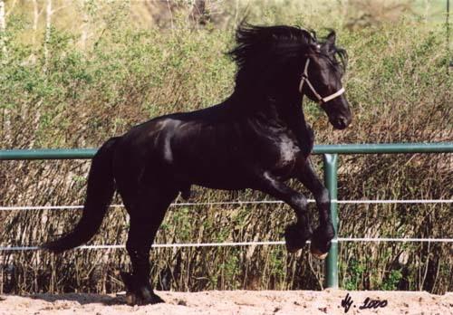 Z 7.jpg